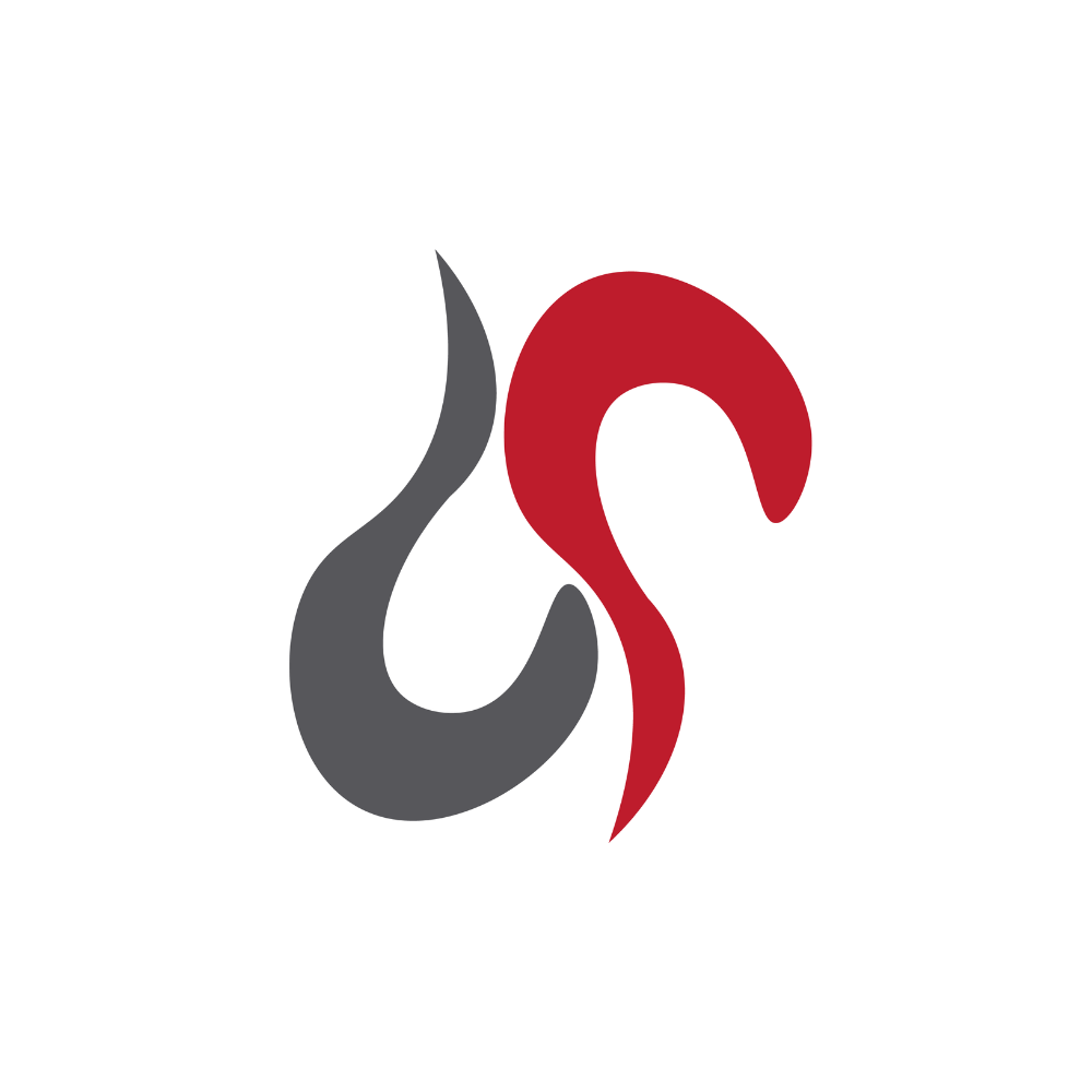 Live Show City logo